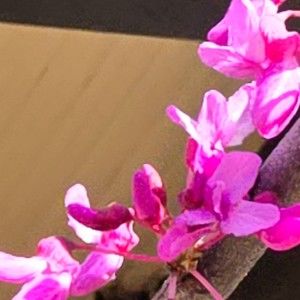 Meet your Posher, Undercoverangel